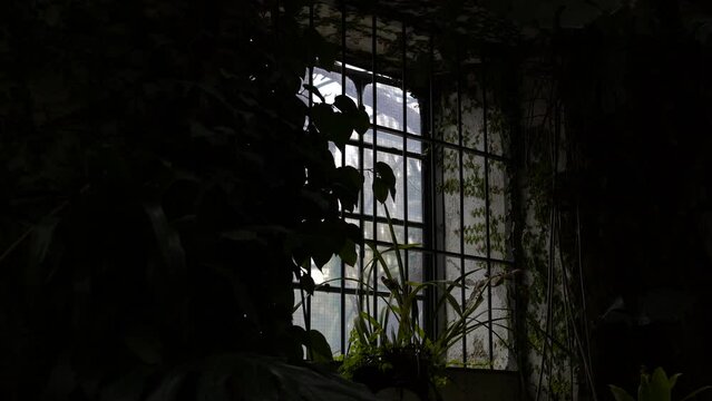Vista desde el interior de una ventana con vegetaci&oacute;n  y gente paseando fuera.