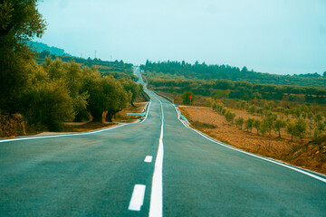 camino recto