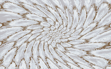 close up of a feather white and brown pattern graphic art design wallpaper