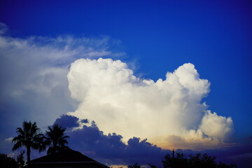 Big, fluffy, billowy cumulus clouds gather in the  sky