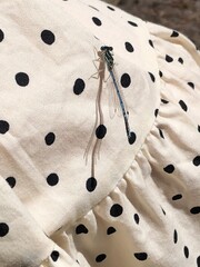 dragonfly on a womans dress