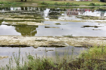 rzeka, San, woda, susza, krajobraz, niebo, drzewa, lato, wybrzeże,