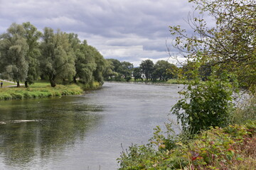 rzeka, San, woda, susza, krajobraz, niebo, drzewa, lato, wybrzeże, © Albin Marciniak