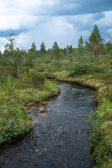 Fototapeta na wymiar Small stream flowing in the middle of summery Urho Kekkonen National Park, Northern Finland