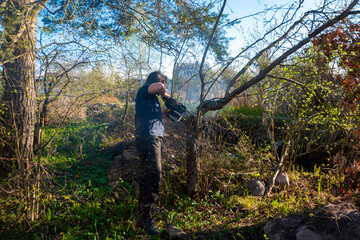 Naklejka premium Man pruning or sawing apple tree using chainsaw. farmer sowing the dry branches of apple trees