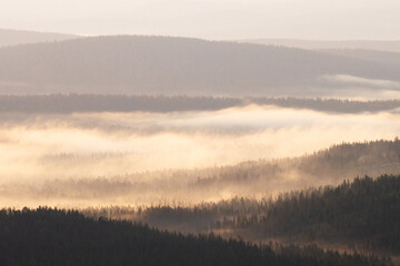 Moving mist between fells during a summer sunrise in Urho Kekkonen National Park, Northern Finland