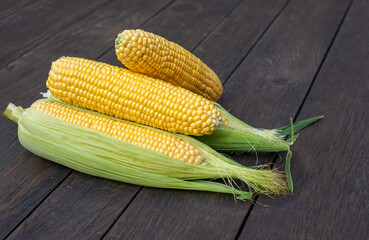 Fresh corn on cobs on rustic wooden table, closeup. Top view with copy space