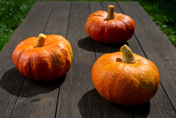 Close up view of cut pumpkin on wooden surface and nature background. Copy space