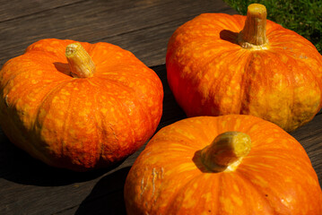 Close up, top view of pumpkin on wooden surface. Copy space
