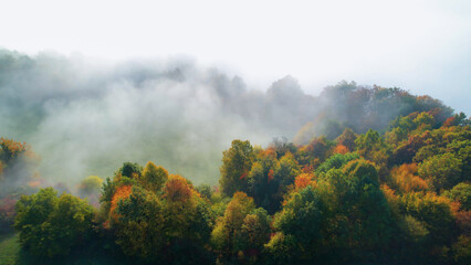 AERIAL: Morning mist rolling around colorful lush forest trees in autumn season