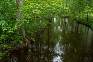 A  small river with dark water on a late spring evening in Estonia, Northern Europe