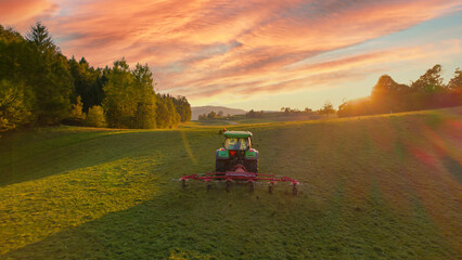 AERIAL: Rear view of tractor turning mowed hay with hay tedder at autumn sunset - obrazy, fototapety, plakaty