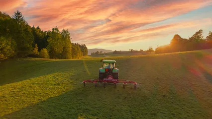 Foto op Aluminium AERIAL: Rear view of tractor turning mowed hay with hay tedder at autumn sunset © helivideo