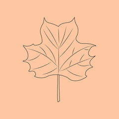 Set of hand drawn leaf outlines. Vector illustration. on the autumn background
