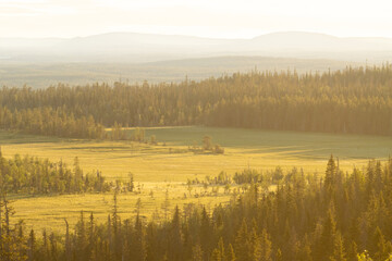 A large bog and old-growth forests in summery Riisitunturi National Park during a golden hour