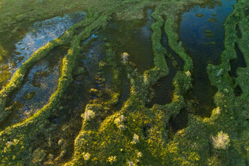 An aerial of summery aapa bog in Riisitunturi National Park, Northern Finland	