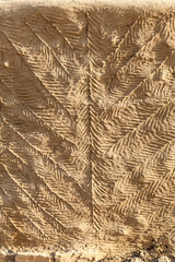Detail of a rich decorated wall of a traditional village house in Khari, Thar Desert in Rajasthan, India, Asia