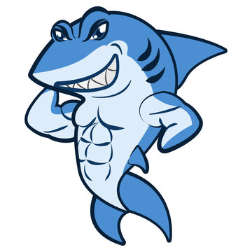 vector character mascot illustration of strong shark cartoon isolated on white