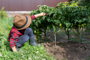 A little boy in a plaid shirt and a straw hat helps in the garden. He is sitting next to a bed of tomatoes.