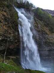 waterfall in the forest