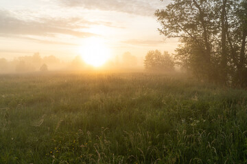 Obraz na płótnie Canvas Sunrise on a misty springtime grassland in Estonia, Northern Europe