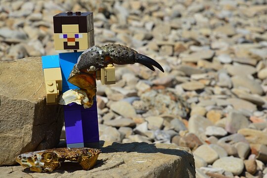 LEGO Minecraft large figure of Steve picking up Marbled Crab (Pachygrapsus marmoratus) claw (also called pincer), head part of crab exoskeleton under his legs. Rocky beach in Adriatic, summer sunshine