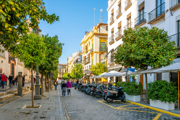 Shops, sidewalk cafes and orange trees line the busy street alongside the Seville Cathedral in the Barrio Santa Cruz district of the Andalusian city of Seville Spain.	 - obrazy, fototapety, plakaty