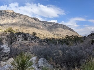 Landscapes