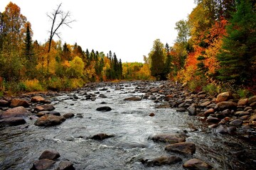 River rushing through autumn landscape 