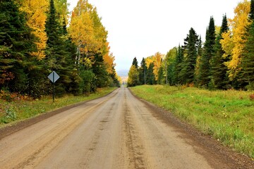 Country road in autumn