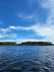 Florida Landscape