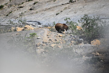 Fototapeta premium landscape