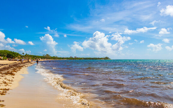 Tropical mexican beach full of people Playa del Carmen Mexico. © arkadijschell