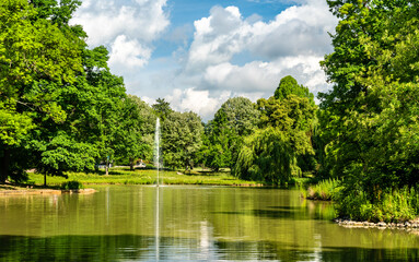 Fototapeta premium Swan Lake in Bad Homburg vor der Hoehe near Frankfurt, Germany