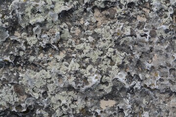 Closeup view of stone covered with lichen as background