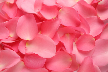 Fresh pink rose petals as background, closeup - Powered by Adobe