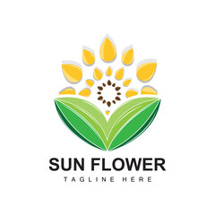 Sunflower Logo Design, Ornamental Plant Garden Plant Icon Vector, Company Product Brand