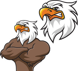 Eagle Mascot Character Design Cartoon Set