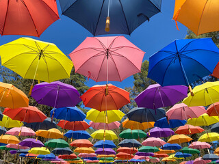 Colorful sunlit umbrellas at Lavender Festival, Cherry Valley, CA