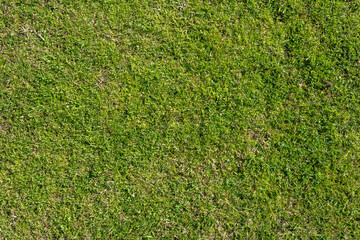 Green grass garden mat