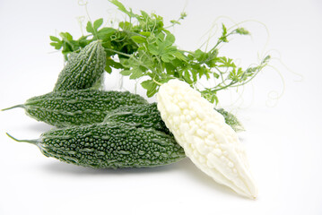 Fresh white and green bitter gourd or bitter melon with leaves isolated on white background. copy space.