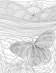 Butterfly Series 3