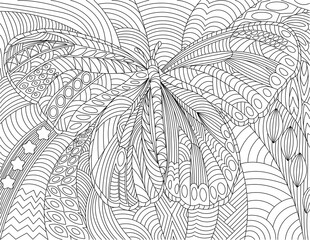 Butterfly Series 2