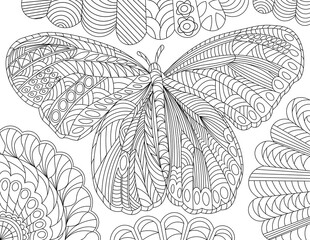 Butterfly Series 4