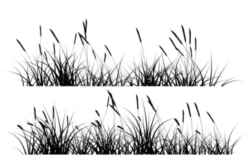 Fotobehang reeds grass silhouette © Cyudeshbuhu