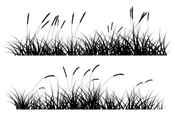 Foto op Canvas reeds grass silhouette © Cyudeshbuhu
