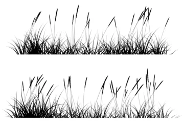 Foto op Canvas reeds grass silhouette © Cyudeshbuhu
