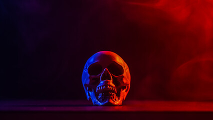 Human skull in pink and blue smoke on a black background. Halloween.