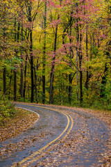 Obraz premium Autumn Roads