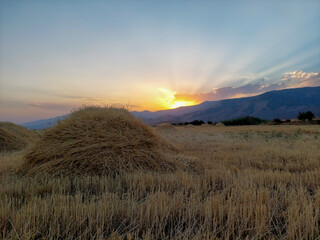 Haystacks at sunset. The sun is setting behind the mountains. Started fields. Harvest of works. Come out of the withered grass. View of the countryside.